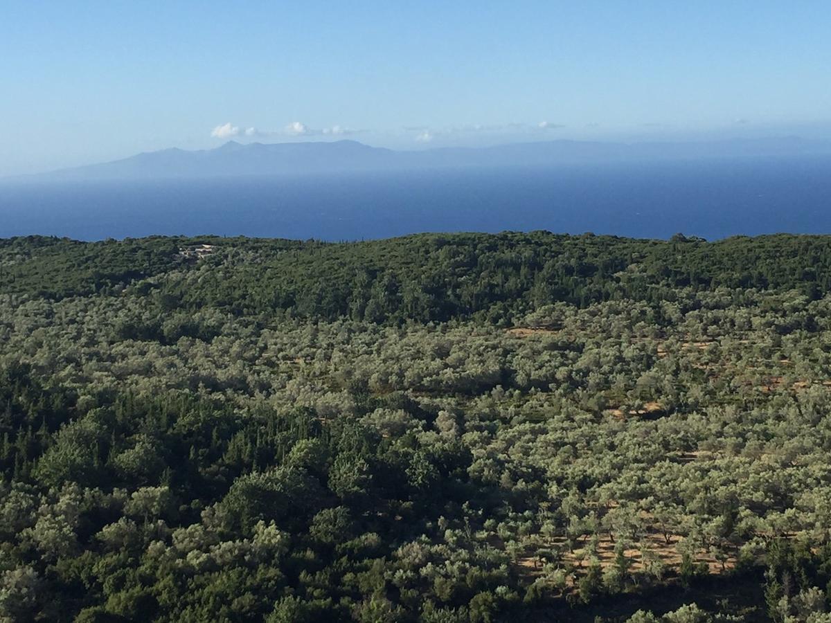 Appartamento Vila Milo Vuno Esterno foto
